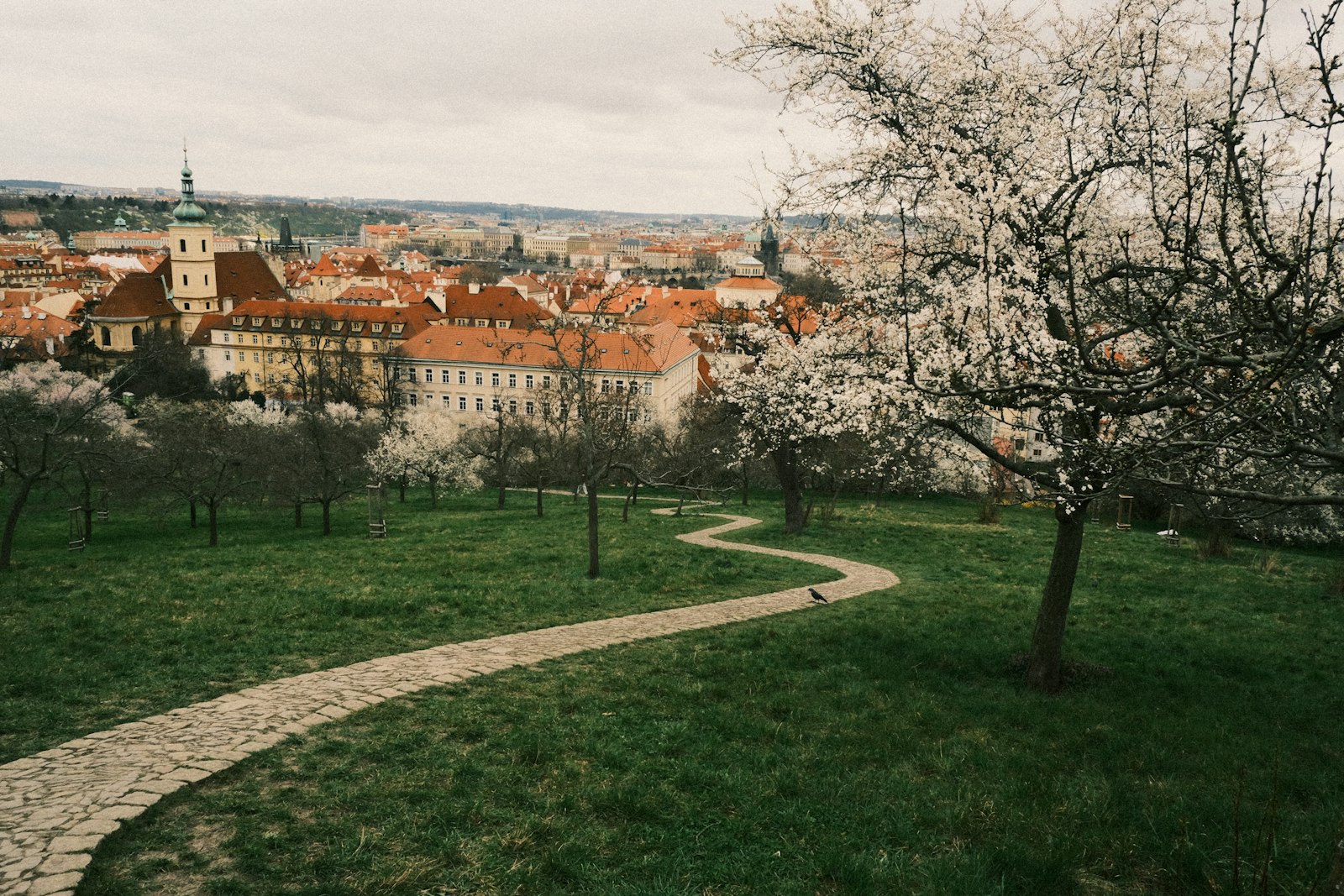 Praha mezi stromy: den v parcích místo spěchu po památkách